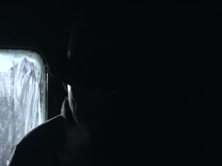 飞虎队张子健版