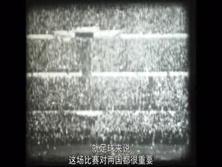 世界冠军养成记
