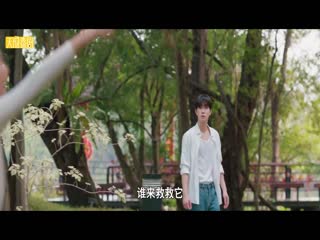 游戏大作战
