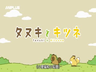 小狸猫与小狐狸