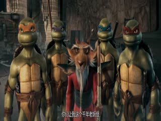 忍者神龟2007