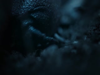 非洲：地球的野性家园