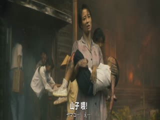 宝岛2025