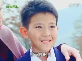 绿光森林
