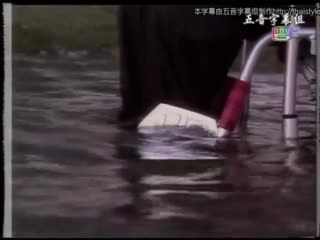 爱恨情仇2005