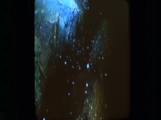 深海异形1989