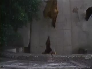 烟雨蒙蒙