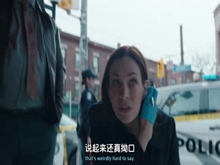 多伦多法律与秩序：犯罪倾向第四季