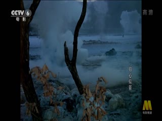 归心似箭1979
