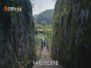 乌蒙深处