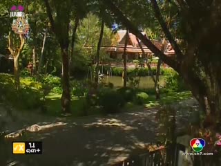 爱的痕迹