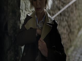 狐狸女士第三季
