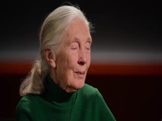临终遗言第一季