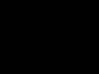 回应太阳