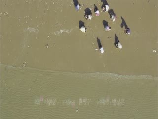 蓝色大海的传说