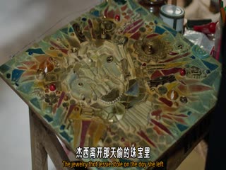 骇人命案事件簿第二十五季