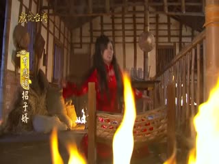 戏说台湾之有应妈招子婿