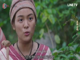 丛林之花