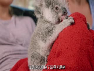 伊兹的考拉世界第二季