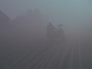 自己去看
