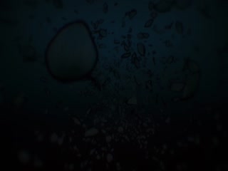 鬼灭之刃 剧场版 无限城篇 第一章 猗窝座再来