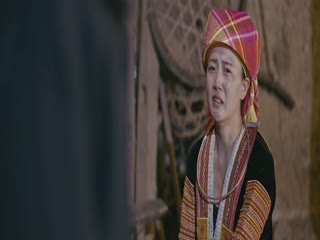 杜鹃花