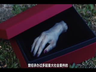 模仿犯2023