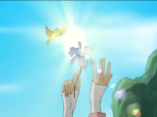 马兰花2006