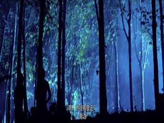誓约归隐