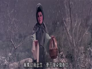 帝女花1976