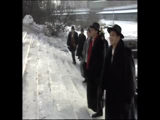 银狐粤语