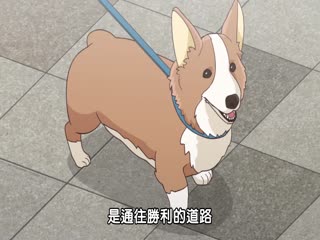 野原广志午餐流派
