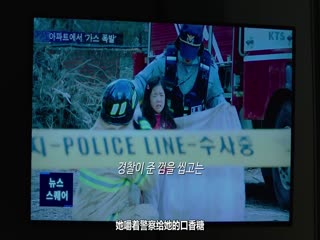 绿夜2023