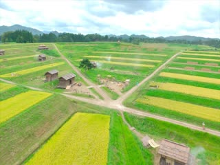 麒麟来了