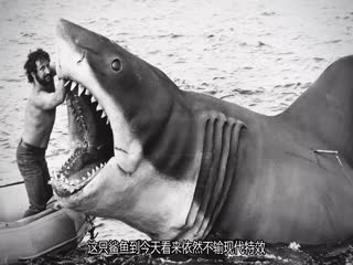 《大白鲨》五十年:决定性幕后故事