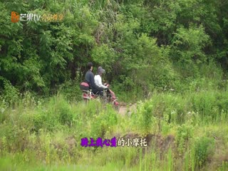 问苍茫 彩蛋02