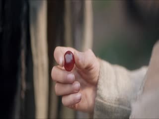 虎鹤妖师录