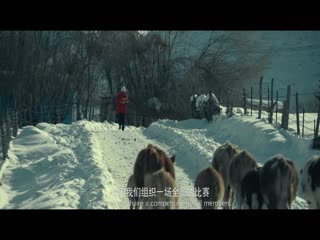 阿勒泰之歌