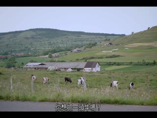 死了一个女明星之后