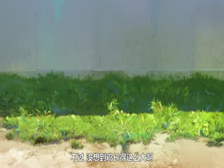 藤本树17-26