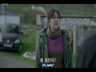 设得兰谜案第十季