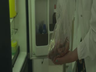 爱在初春惊变时