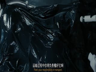 独角兽之死
