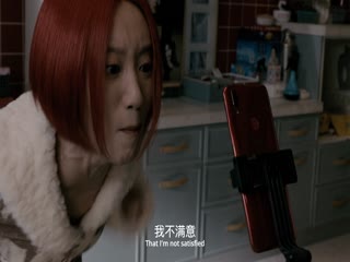 向光花盛开