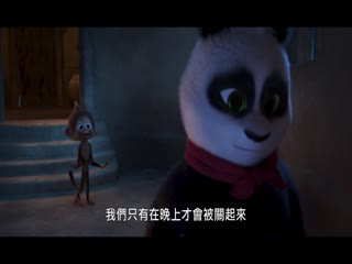 来自中国的熊猫