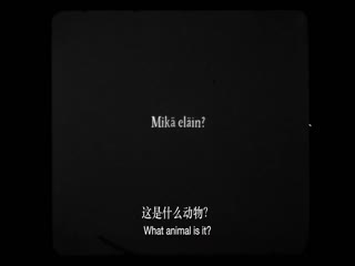无声三部曲