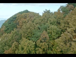 青春月谭