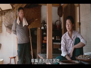 绿洲