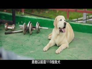 消防员2024