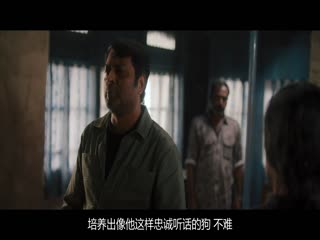 回声2025